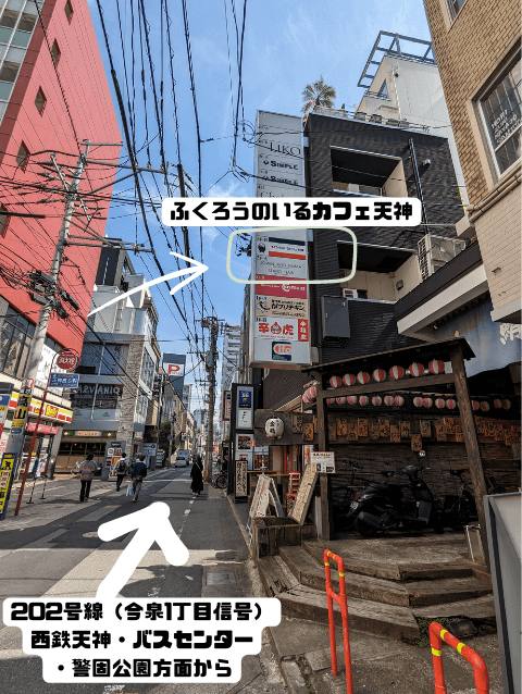 福岡県福岡市中央区今泉にある「ふくろうカフェ天神」に行く際、202号線側から店舗ビルを見た外観画像
